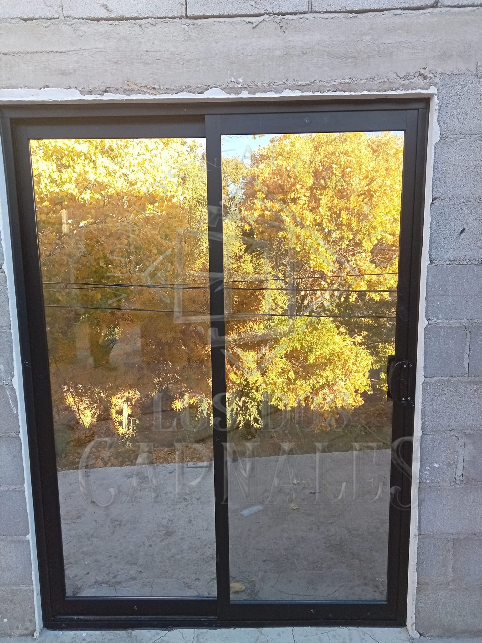 Puertas para tu Hogar o Negocio Chihuahua